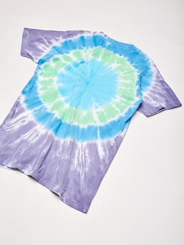 Liquid Blue unisex adult Led Zeppelin Ramble on Swan Song Tee T Shirt, Tie Dye, Medium US