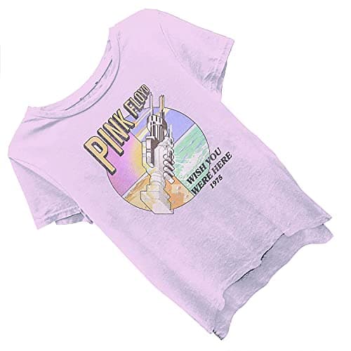 Pink Floyd Ladies Rock Shirt Dark Side of The Moon Vintage Tee (Washed Light Pink, Small)