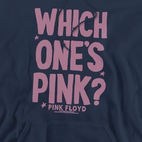 Popfunk Pink Floyd The Ultimate Question Adult Pull-Over Hoodie, Navy, Small