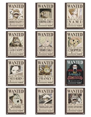 One Piece Wanted Posters Review – 12-Piece Official Poster Book