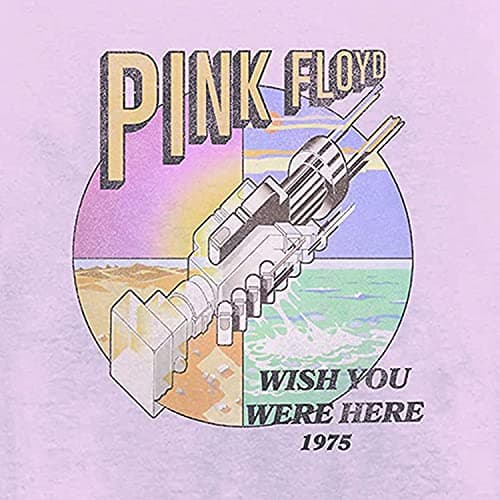 Pink Floyd Ladies Rock Shirt Dark Side of The Moon Vintage Tee (Washed Light Pink, Small)
