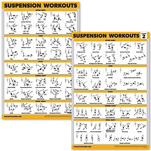 Palace Learning 2 Pack Suspension Workout Posters – Análisis Completo